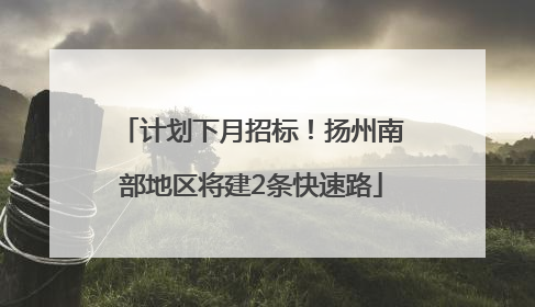 计划下月招标！扬州南部地区将建2条快速路