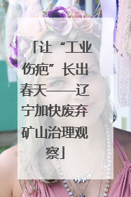 让“工业伤疤”长出春天——辽宁加快废弃矿山治理观察