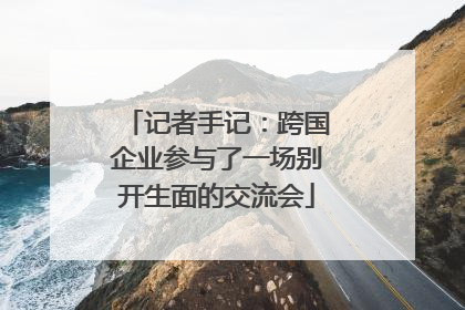 记者手记：跨国企业参与了一场别开生面的交流会