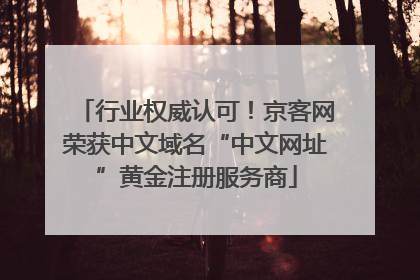 行业权威认可！京客网荣获中文域名“中文网址”黄金注册服务商