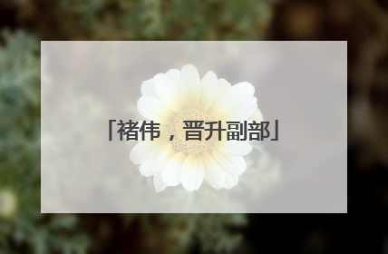 褚伟，晋升副部