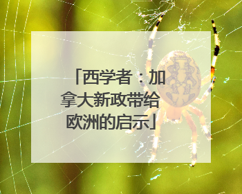 西学者：加拿大新政带给欧洲的启示