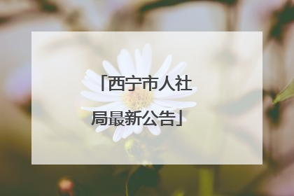 西宁市人社局最新公告