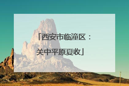 西安市临潼区：关中平原夏收