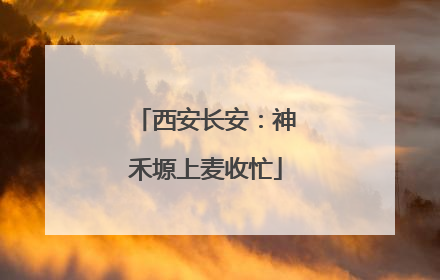 西安长安：神禾塬上麦收忙