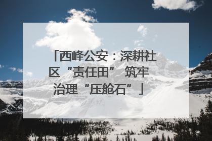 西峰公安：深耕社区“责任田” 筑牢治理“压舱石”