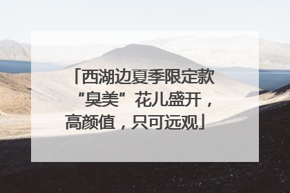 西湖边夏季限定款“臭美”花儿盛开，高颜值，只可远观