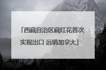 西藏自治区藏红花首次实现出口 远销加拿大
