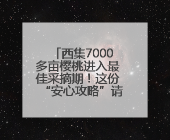 西集7000多亩樱桃进入最佳采摘期！这份“安心攻略”请收好
