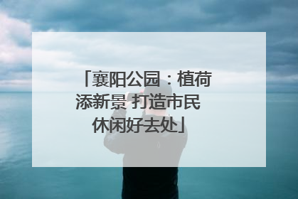襄阳公园：植荷添新景 打造市民休闲好去处