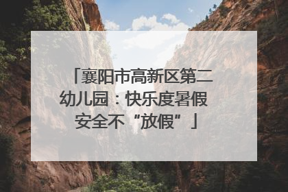 襄阳市高新区第二幼儿园：快乐度暑假 安全不“放假”