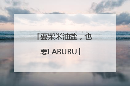 要柴米油盐，也要LABUBU