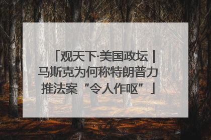 观天下·美国政坛｜马斯克为何称特朗普力推法案“令人作呕”