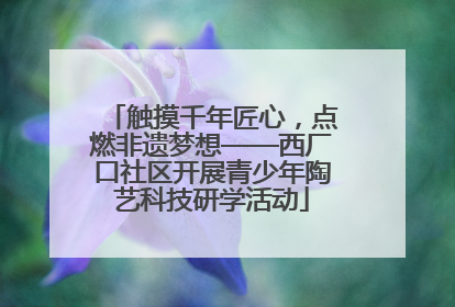 触摸千年匠心，点燃非遗梦想——西厂口社区开展青少年陶艺科技研学活动