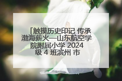 触摸历史印记 传承渤海薪火—山东航空学院附属小学 2024 级 4 班滨州 市档案馆研学实践活动