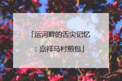 运河畔的舌尖记忆：嘉祥马村煎包