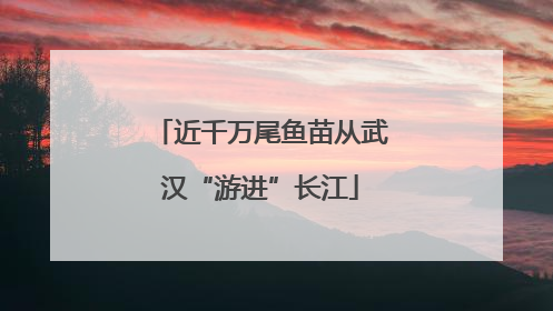 近千万尾鱼苗从武汉“游进”长江
