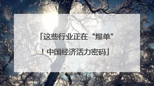 这些行业正在“爆单”！中国经济活力密码