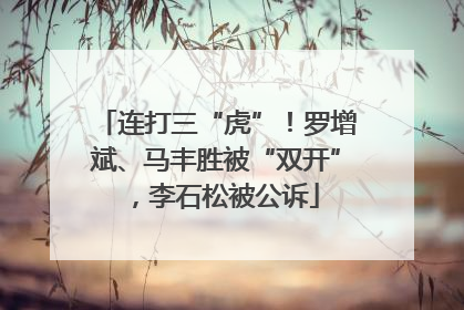 连打三“虎”！罗增斌、马丰胜被“双开”，李石松被公诉