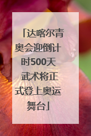 达喀尔青奥会迎倒计时500天 武术将正式登上奥运舞台