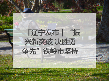辽宁发布｜“振兴新突破 决胜勇争先”铁岭市坚持“项目为王”推进经济高质量发展
