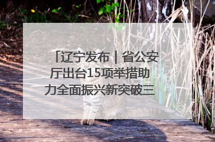 辽宁发布｜省公安厅出台15项举措助力全面振兴新突破三年行动决胜之战