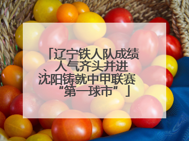 辽宁铁人队成绩、人气齐头并进 沈阳铸就中甲联赛“第一球市”