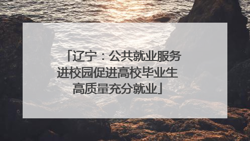 辽宁：公共就业服务进校园促进高校毕业生高质量充分就业