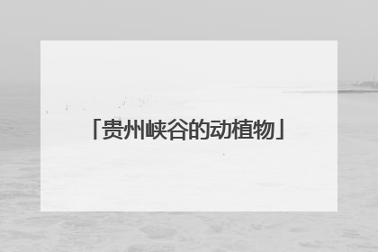 贵州峡谷的动植物