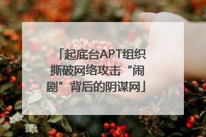 起底台APT组织 撕破网络攻击“闹剧”背后的阴谋网