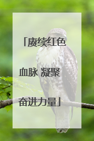 赓续红色血脉 凝聚奋进力量