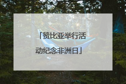 赞比亚举行活动纪念非洲日
