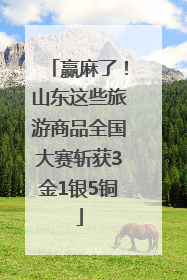 赢麻了！山东这些旅游商品全国大赛斩获3金1银5铜