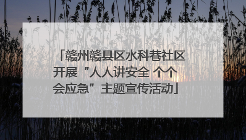 赣州赣县区水科巷社区开展“人人讲安全 个个会应急”主题宣传活动