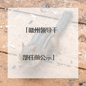 赣州领导干部任前公示