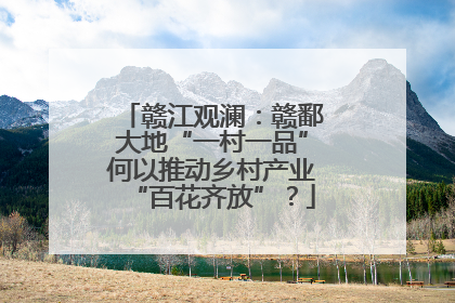 赣江观澜：赣鄱大地“一村一品”何以推动乡村产业“百花齐放”？