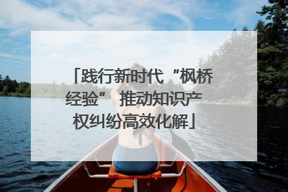践行新时代“枫桥经验” 推动知识产权纠纷高效化解
