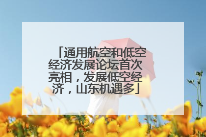 通用航空和低空经济发展论坛首次亮相，发展低空经济，山东机遇多