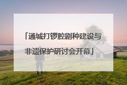 通城打锣腔剧种建设与非遗保护研讨会开幕