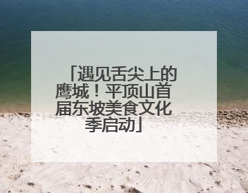 遇见舌尖上的鹰城！平顶山首届东坡美食文化季启动