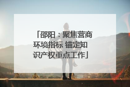 邵阳：聚焦营商环境指标 锚定知识产权重点工作