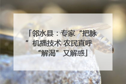 邻水县：专家“把脉”机播技术 农民直呼“解渴”又解惑