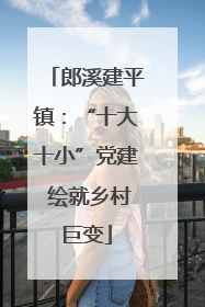 郎溪建平镇：“十大十小”党建 绘就乡村巨变
