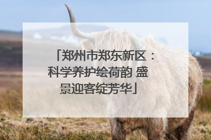 郑州市郑东新区：科学养护绘荷韵 盛景迎客绽芳华