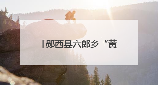 郧西县六郎乡“黄板护椒”促绿兴农