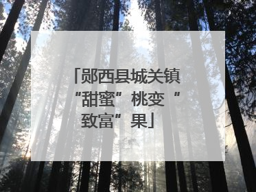 郧西县城关镇“甜蜜”桃变“致富”果