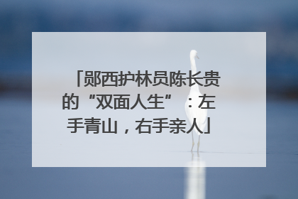 郧西护林员陈长贵的“双面人生”：左手青山，右手亲人