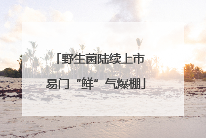 野生菌陆续上市 易门“鲜”气爆棚