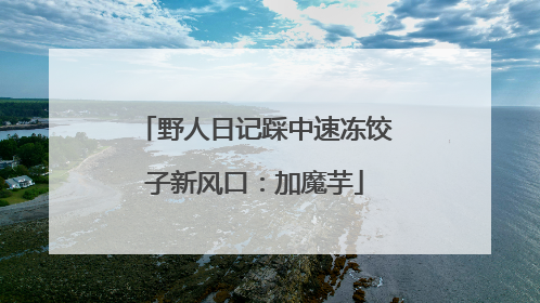 野人日记踩中速冻饺子新风口：加魔芋