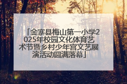 金寨县梅山第一小学2025年校园文化体育艺术节暨乡村少年宫文艺展演活动圆满落幕